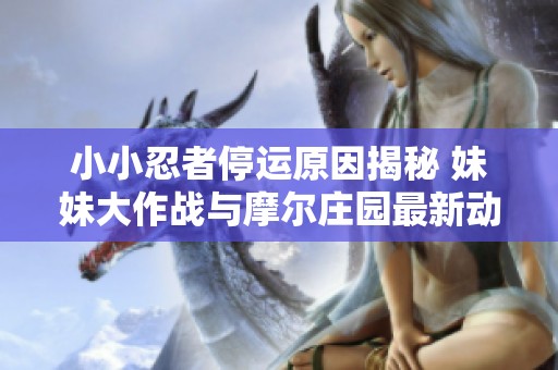 小小忍者停运原因揭秘 妹妹大作战与摩尔庄园最新动态解析