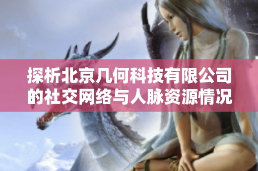 探析北京几何科技有限公司的社交网络与人脉资源情况