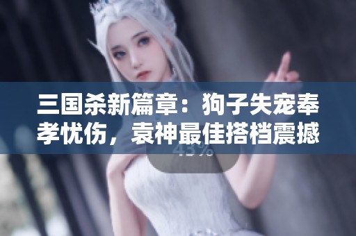 三国杀新篇章：狗子失宠奉孝忧伤，袁神最佳搭档震撼登场