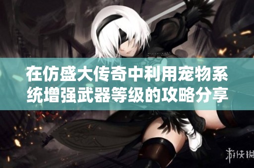 在仿盛大传奇中利用宠物系统增强武器等级的攻略分享