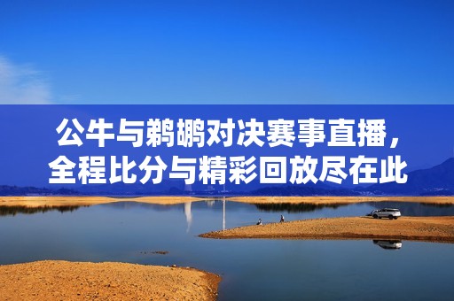 公牛与鹈鹕对决赛事直播，全程比分与精彩回放尽在此处