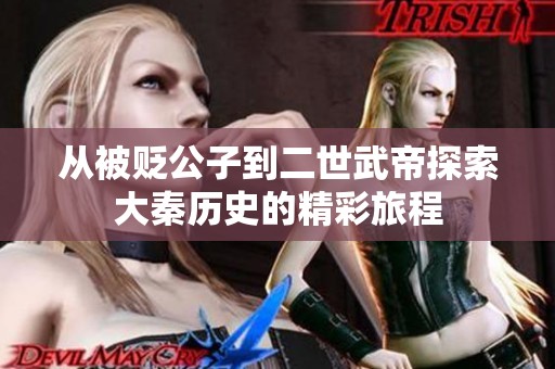 从被贬公子到二世武帝探索大秦历史的精彩旅程