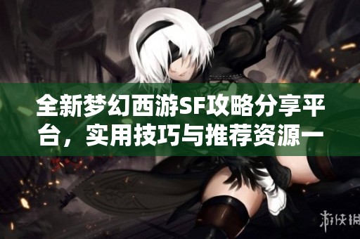 全新梦幻西游SF攻略分享平台，实用技巧与推荐资源一网打尽