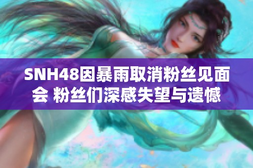 SNH48因暴雨取消粉丝见面会 粉丝们深感失望与遗憾