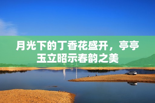 月光下的丁香花盛开，亭亭玉立昭示春韵之美