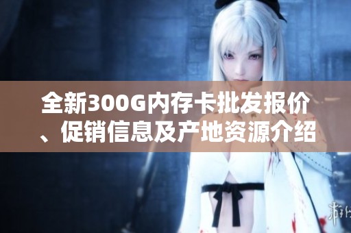 全新300G内存卡批发报价、促销信息及产地资源介绍