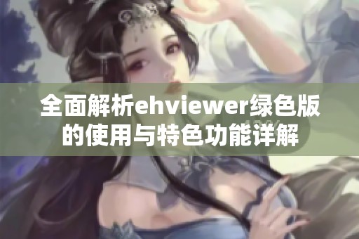 全面解析ehviewer绿色版的使用与特色功能详解