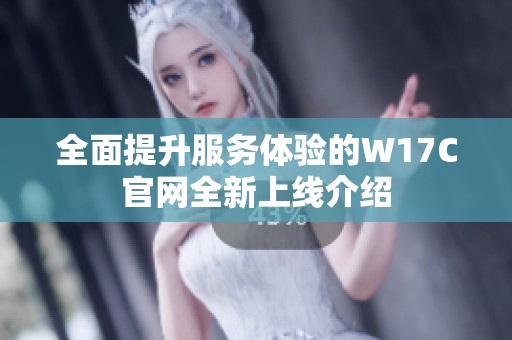 全面提升服务体验的W17C官网全新上线介绍