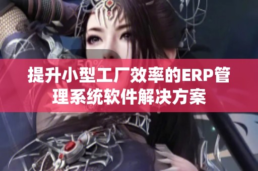 提升小型工厂效率的ERP管理系统软件解决方案