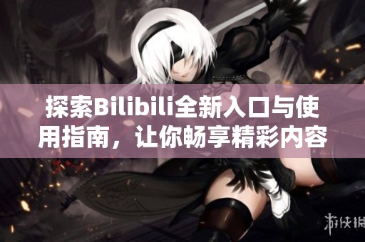 探索Bilibili全新入口与使用指南，让你畅享精彩内容