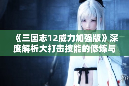 《三国志12威力加强版》深度解析大打击技能的修炼与实战运用技巧