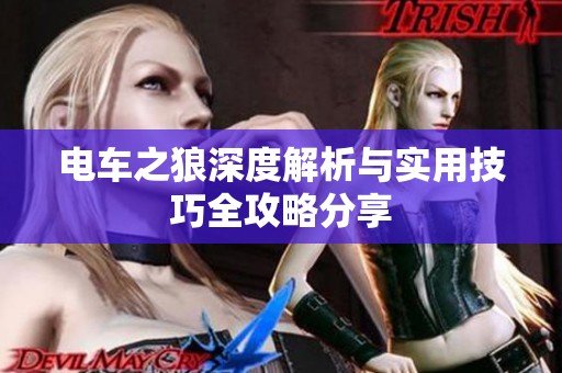 电车之狼深度解析与实用技巧全攻略分享