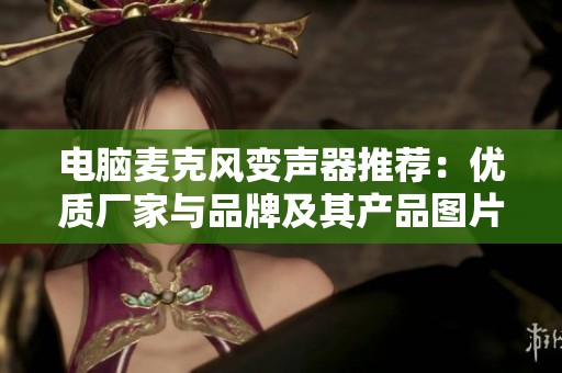 电脑麦克风变声器推荐：优质厂家与品牌及其产品图片合集