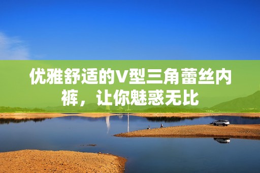 优雅舒适的V型三角蕾丝内裤，让你魅惑无比