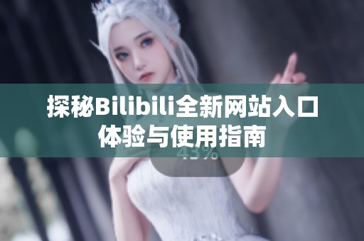 探秘Bilibili全新网站入口体验与使用指南