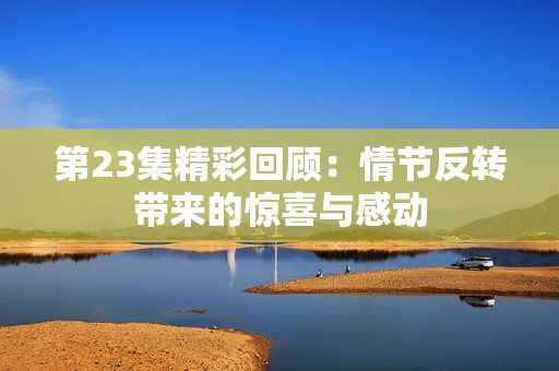 第23集精彩回顾：情节反转带来的惊喜与感动
