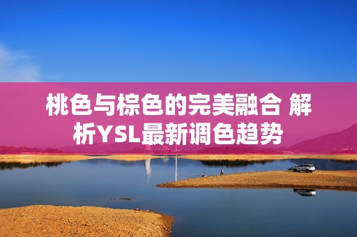 桃色与棕色的完美融合 解析YSL最新调色趋势