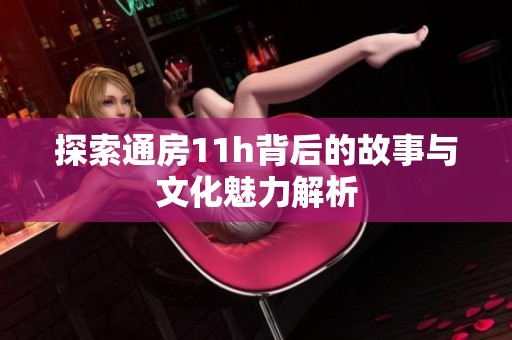 探索通房11h背后的故事与文化魅力解析