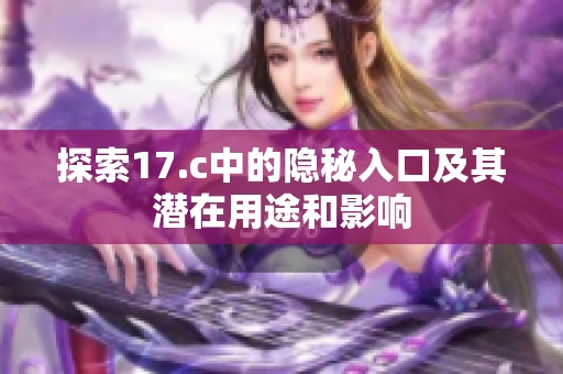 探索17.c中的隐秘入口及其潜在用途和影响