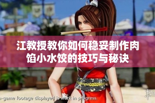 江教授教你如何稳妥制作肉馅小水饺的技巧与秘诀