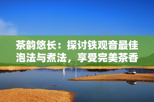 茶韵悠长：探讨铁观音最佳泡法与煮法，享受完美茶香与炊烟的乐趣