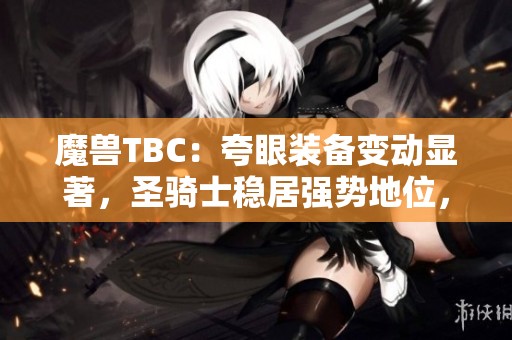 魔兽TBC：夸眼装备变动显著，圣骑士稳居强势地位，术士耗资800金成功赎回攻略解析