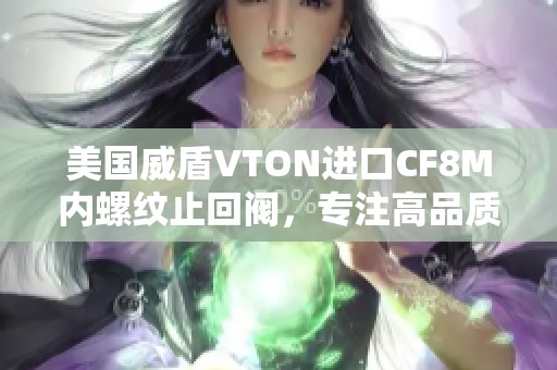 美国威盾VTON进口CF8M内螺纹止回阀，专注高品质流体控制解决方案