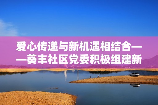 爱心传递与新机遇相结合——葵丰社区党委积极组建新就业群体助力发展