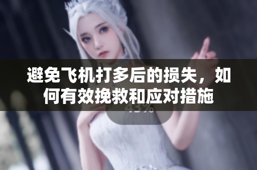 避免飞机打多后的损失，如何有效挽救和应对措施