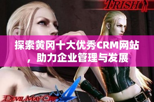 探索黄冈十大优秀CRM网站，助力企业管理与发展