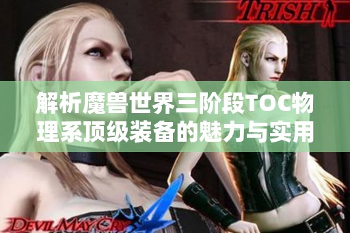 解析魔兽世界三阶段TOC物理系顶级装备的魅力与实用性，分享我的装备获得经历