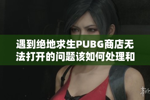 遇到绝地求生PUBG商店无法打开的问题该如何处理和解决攻略分享