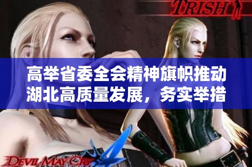 高举省委全会精神旗帜推动湖北高质量发展，务实举措助力实现新目标