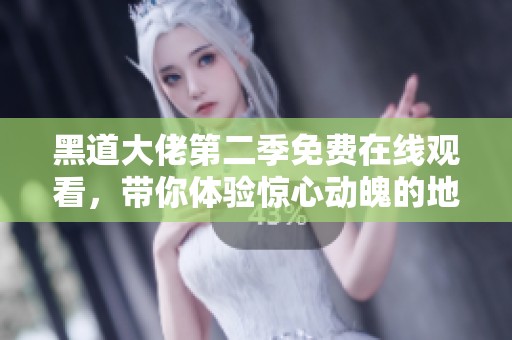 黑道大佬第二季免费在线观看，带你体验惊心动魄的地下世界