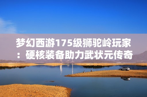 梦幻西游175级狮驼岭玩家：硬核装备助力武状元传奇之路