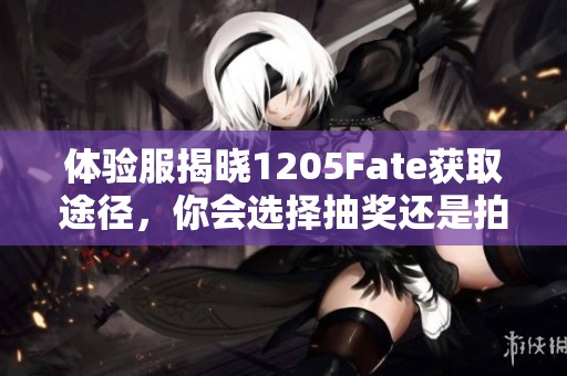 体验服揭晓1205Fate获取途径，你会选择抽奖还是拍卖来获得？