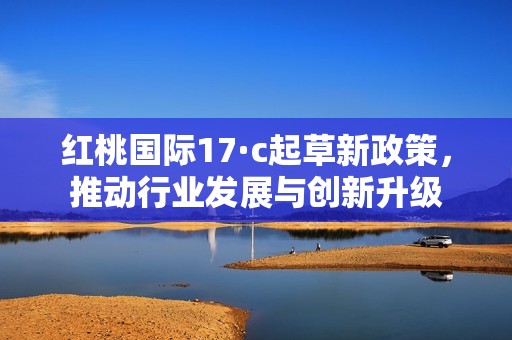 红桃国际17·c起草新政策，推动行业发展与创新升级