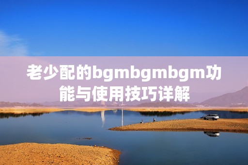 老少配的bgmbgmbgm功能与使用技巧详解