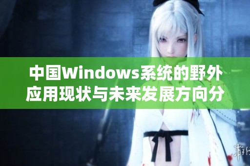 中国Windows系统的野外应用现状与未来发展方向分析