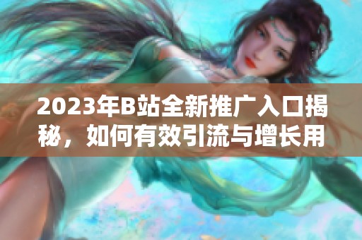 2023年B站全新推广入口揭秘，如何有效引流与增长用户群体