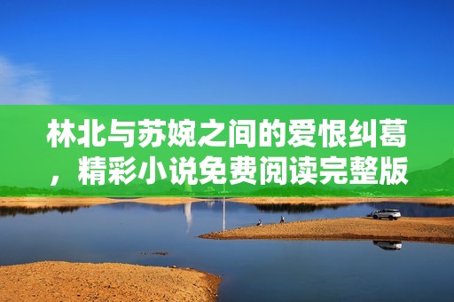 林北与苏婉之间的爱恨纠葛，精彩小说免费阅读完整版