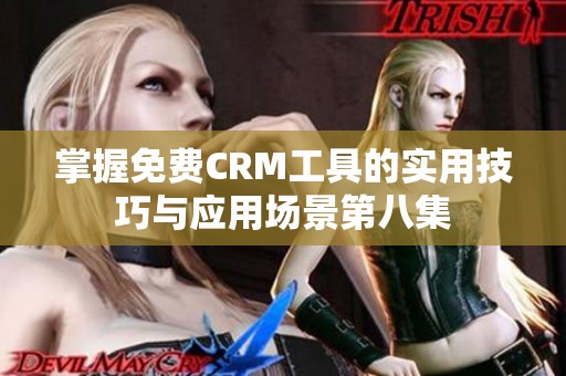 掌握免费CRM工具的实用技巧与应用场景第八集