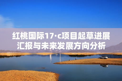 红桃国际17·c项目起草进展汇报与未来发展方向分析