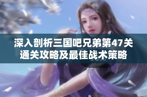 深入剖析三国吧兄弟第47关通关攻略及最佳战术策略