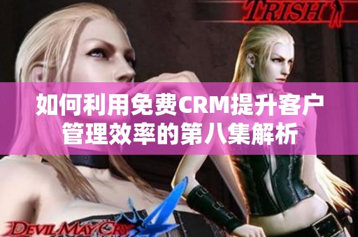 如何利用免费CRM提升客户管理效率的第八集解析