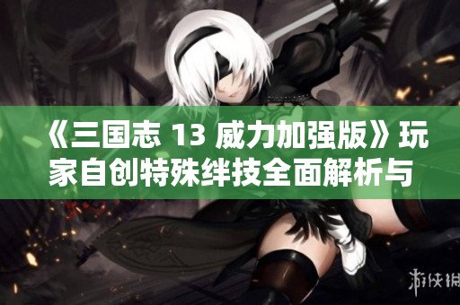 《三国志 13 威力加强版》玩家自创特殊绊技全面解析与实用技巧分享