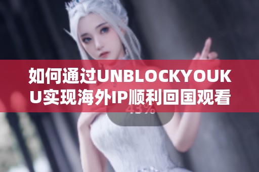 如何通过UNBLOCKYOUKU实现海外IP顺利回国观看内容