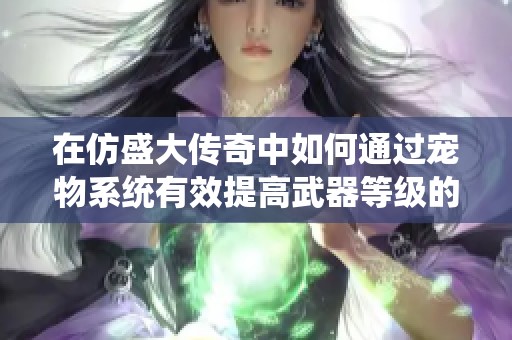 在仿盛大传奇中如何通过宠物系统有效提高武器等级的方法解析