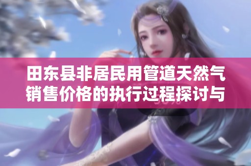 田东县非居民用管道天然气销售价格的执行过程探讨与分析