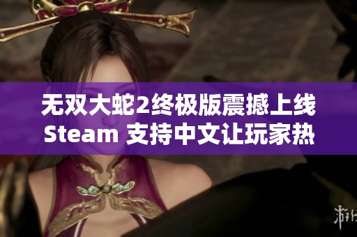 无双大蛇2终极版震撼上线Steam 支持中文让玩家热血沸腾